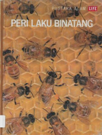 Image of Perilaku Binatang