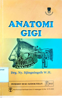 Image of Anatomi gigi