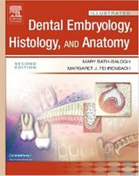 Image of Dental embryology histology and anatomy